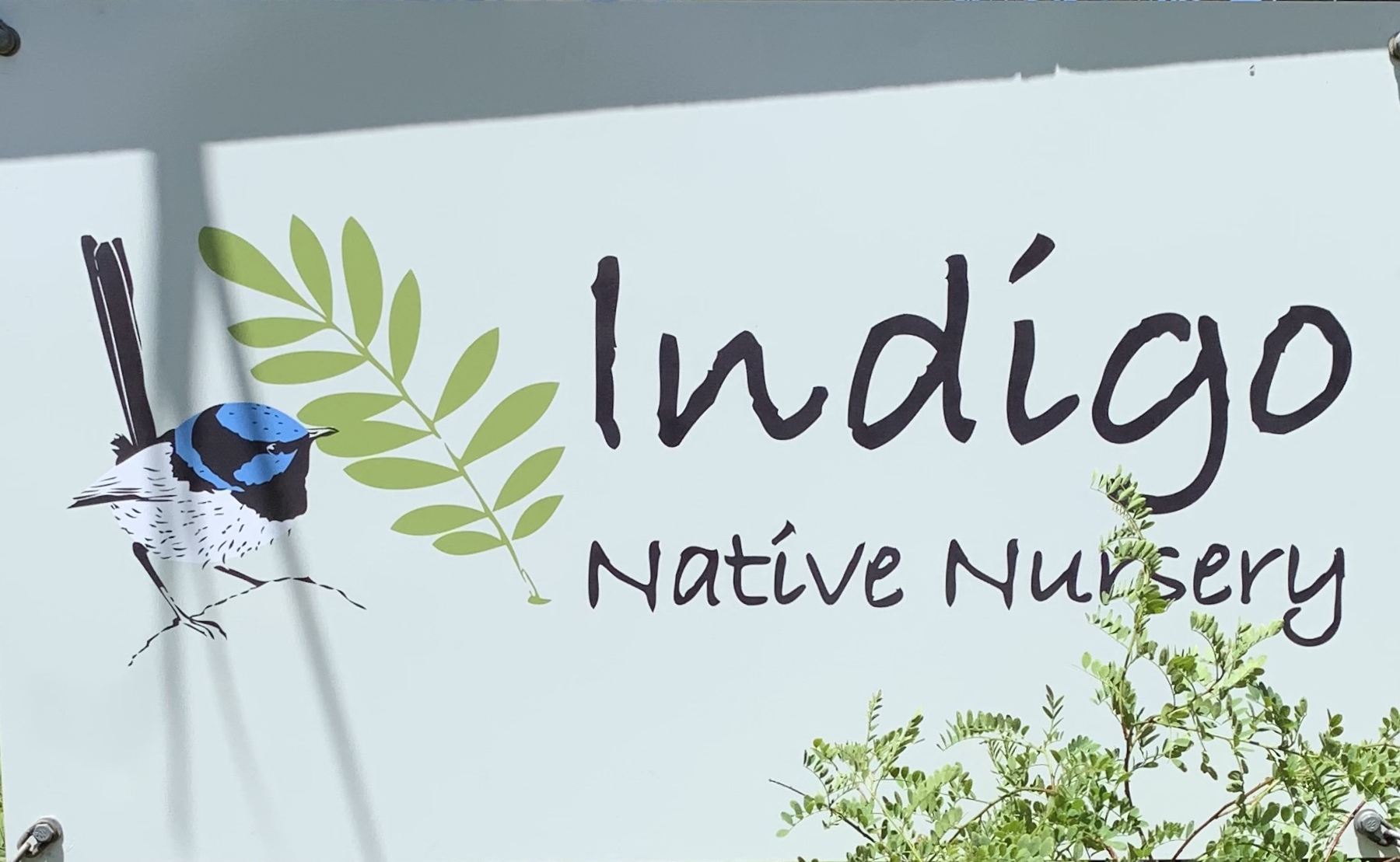 Indigo Native Nursery